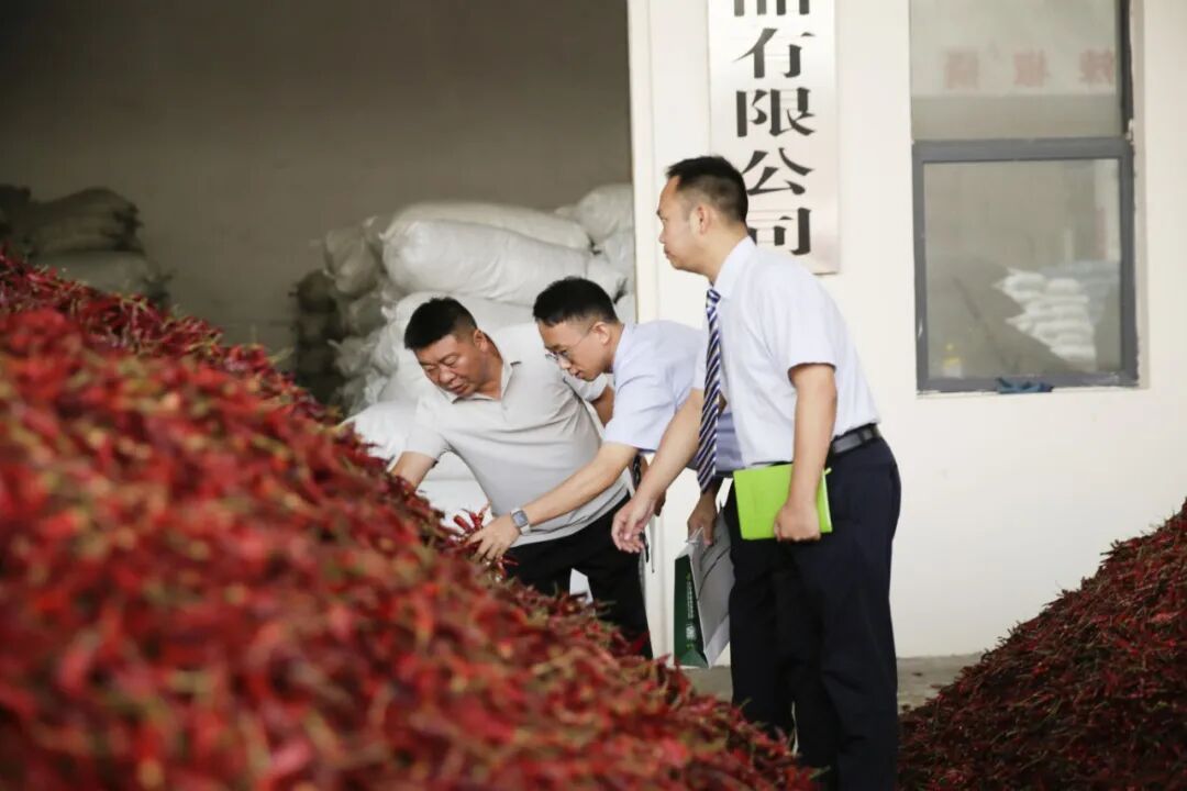 辣椒城13.jpg